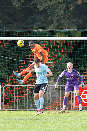 Hartley Wintney v Hendon - Evo-Stik League South Premier South -