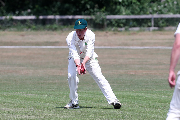 Bromley Town 1st XI v New Beckenham CC 1st XI - 31-05-25