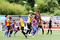 Maidstone United v Crystal Palace - Pre-season friendly - 15th J
