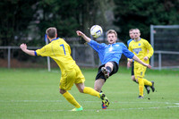Colliers Wood United v Epsom & Ewell Combined Counties League Premier Division 28/11/15