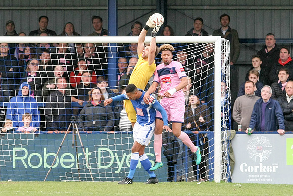 Tonbridge Angels v Dulwich Hamlet - Ryman League Premier Division - 18th March 2017