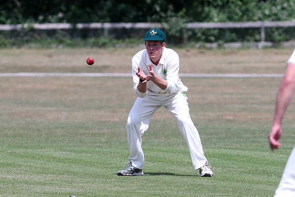 Bromley Town 1st XI v New Beckenham CC 1st XI - 31-05-25